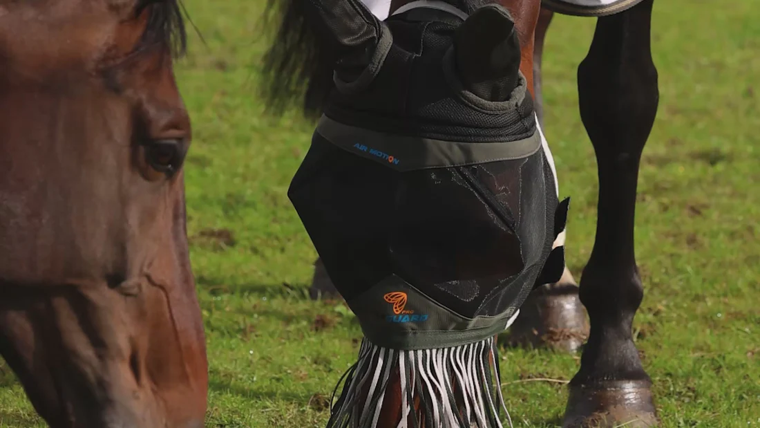 Ride With Confidence and Style